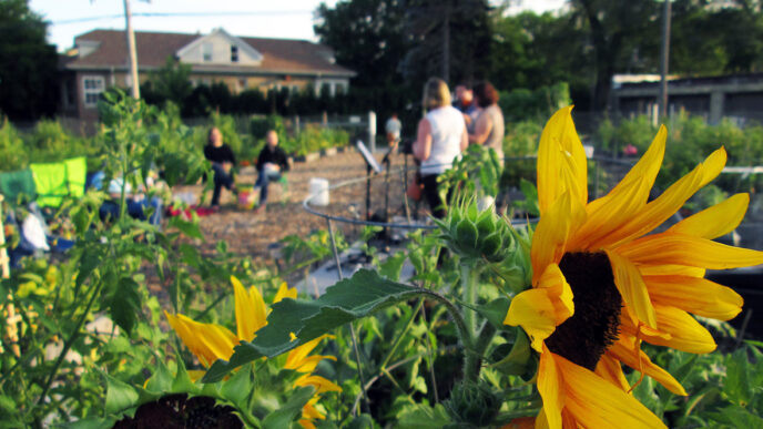 Sunflowers bloom in the foreground as gardeners work at the Peterson Garden|LaManda Joy next to a raised bed in her yard garden|A sign in a garden plot at Peterson Garden reads 'Plant Kindness