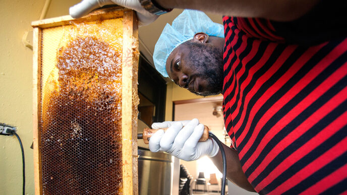 A worker in the Sweet Beginnings program harvests honeycomb from a hive||A warehouse trainee seals small jars of Sweet Beginnings honey