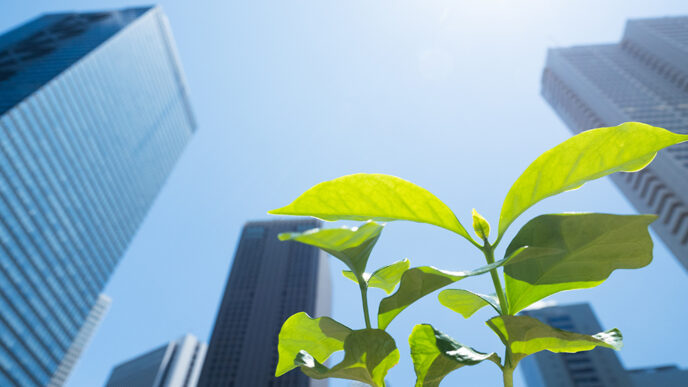 A small green plant shoots up amid an urban skyline|