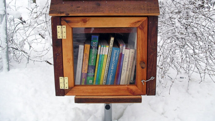 A Little Free Library stands on a snowy roadside