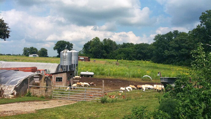 View of farm buildings and fields on a sunny day|Two women standing in front of a meat counter