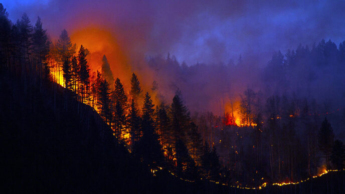 Wildfire sweeps down a hillside covered with trees against a night sky