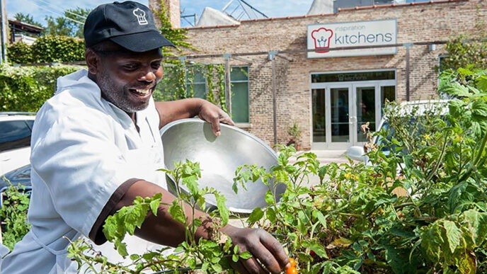 A man wearing a chef's coat picks cherry tomatoes from a garden bed